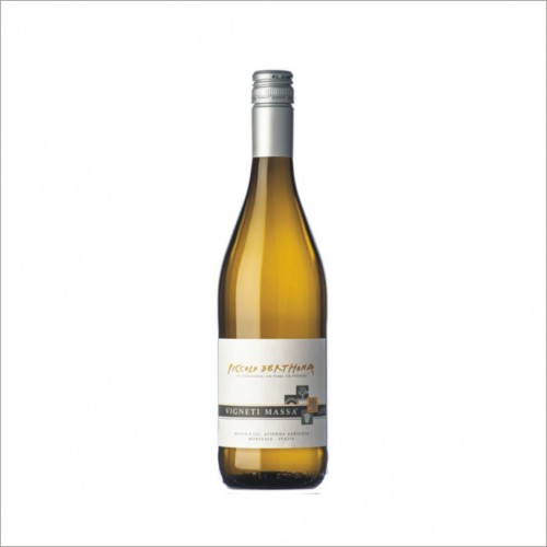 PICCOLO DERTHONA VIGNETI MASSA