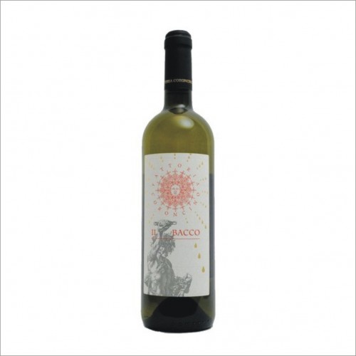 IL BACCO VERDICCHIO DEI CASTELLI DI JESI CLASSICO SUPERIORE