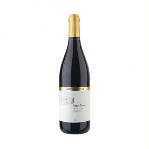 PINOT NERO TRENTINO BOTTEGA VINAI