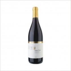 PINOT NERO TRENTINO BOTTEGA VINAI