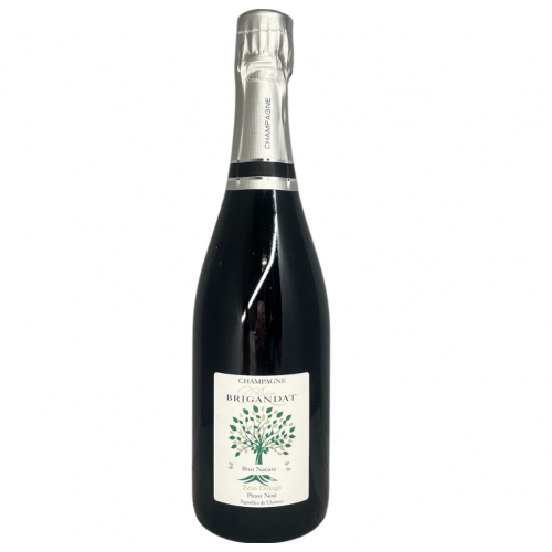 CHAMPAGNE PINOT NOIR DE CHANNES NATURE
