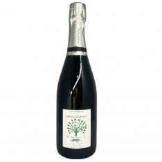 CHAMPAGNE PINOT NOIR DE CHANNES NATURE