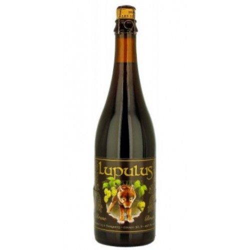 LUPULUS DOPPIO MALTO NERA 75 cl.