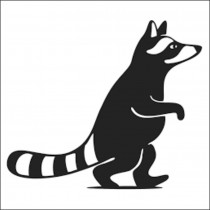 WILDRACCOON
